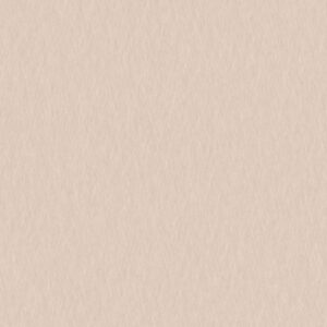 Champagne Silk