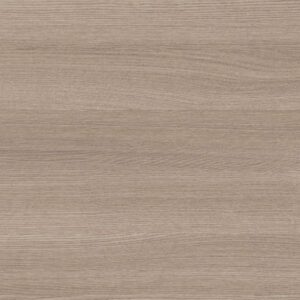 Excelsior Ash