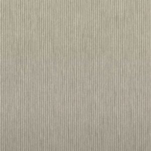 Fineline Brushed Champagne