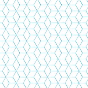 Hexagonal 12