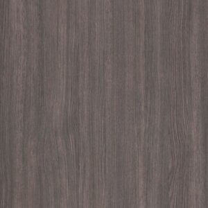 Maritime Oak