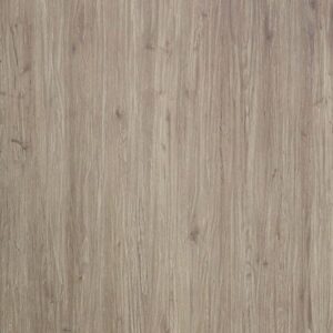 Old Roman Oak