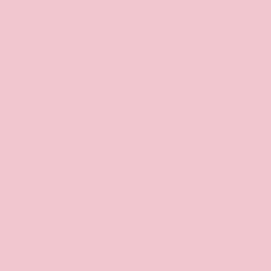 Paeonia Pink