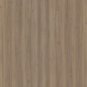 Paisley Elm