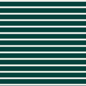 Stripe Green 31