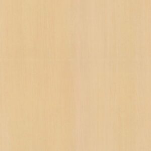 Velvet Maple