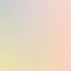 Rainbow 41
