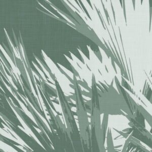 Tropical 41